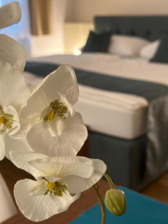 Home Sweet Apartments - A Cozy Welcome Wenen Buitenkant foto